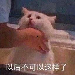 朝阳吃瓜群众一枚,揭秘京城街头巷尾的热辣话题